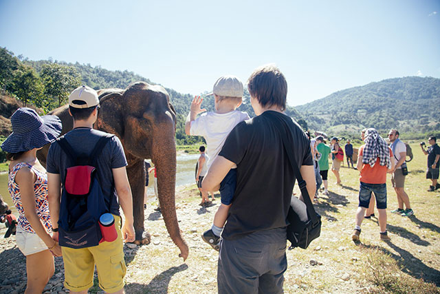 Elephant Nature Park - Chiang Mai