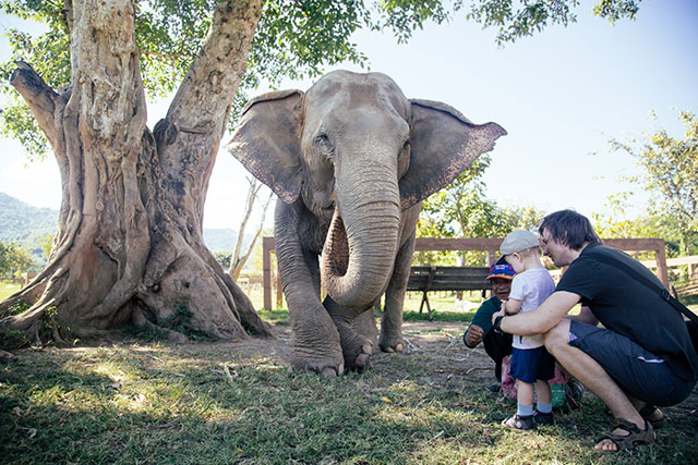 Elephant Nature Park - Chiang Mai