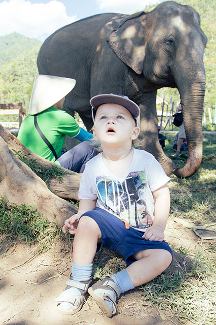 Elephant Nature Park - Chiang Mai