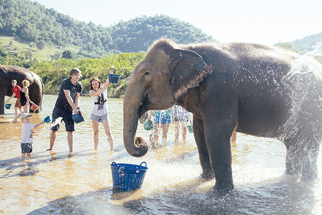 Elephant Nature Park - Chiang Mai