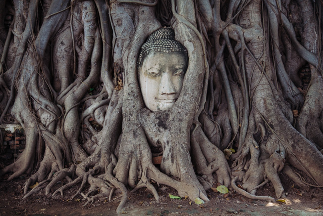 Kelionė į Ajutają (Ayutthaya)