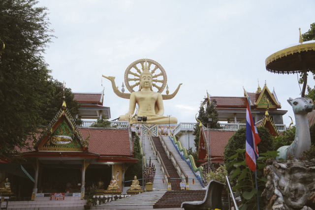 Koh Samui Motoroleris