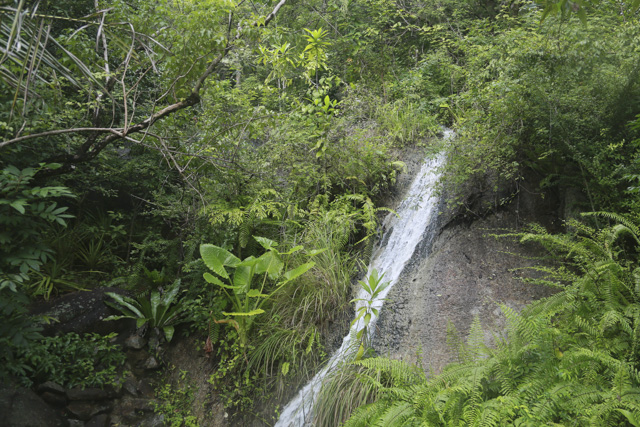 Koh Samui Motoroleris