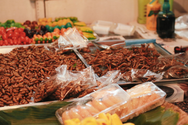 Naktinis turgus Surat Thani