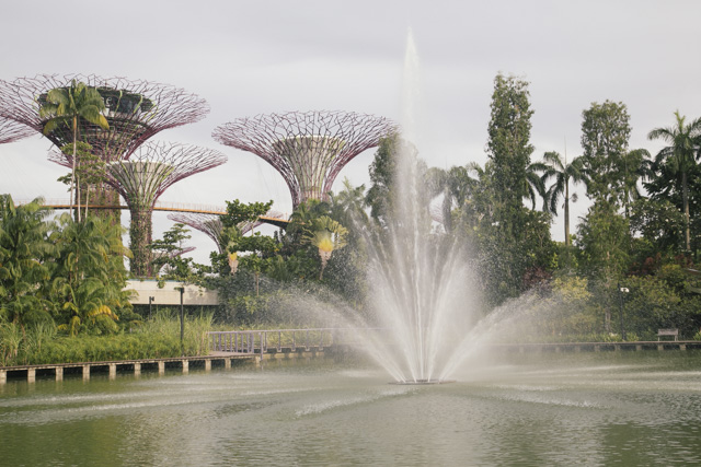 Singapūras